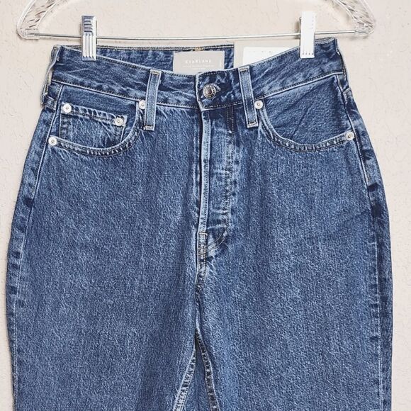 Everlane The Curvy 90's Cheeky Straight Jean Northridge Blue Size 27 - Picture 4 of 9